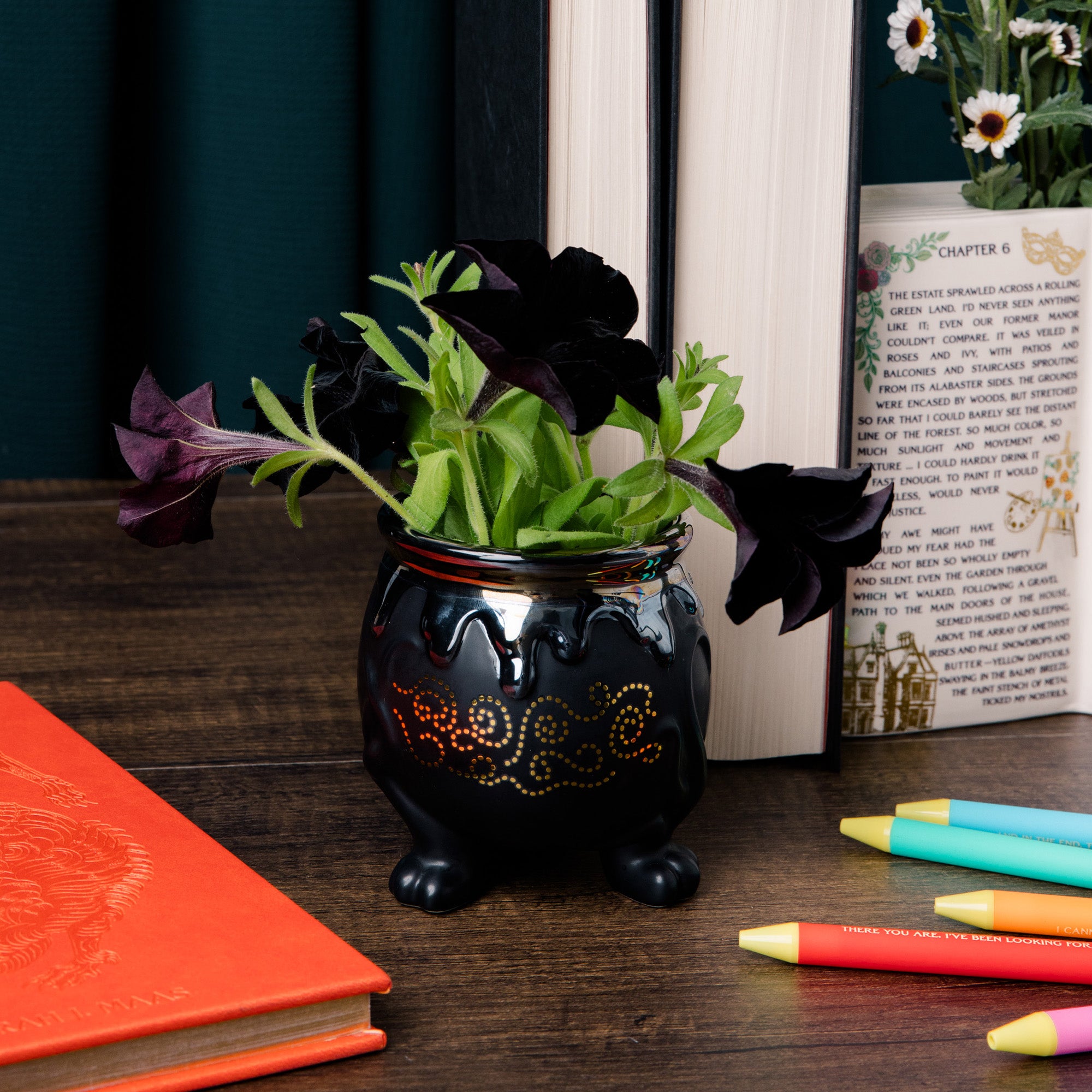 Black decorative pot with plants on a wooden surface next to books and markers