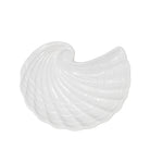 White shell-shaped plates on a white background