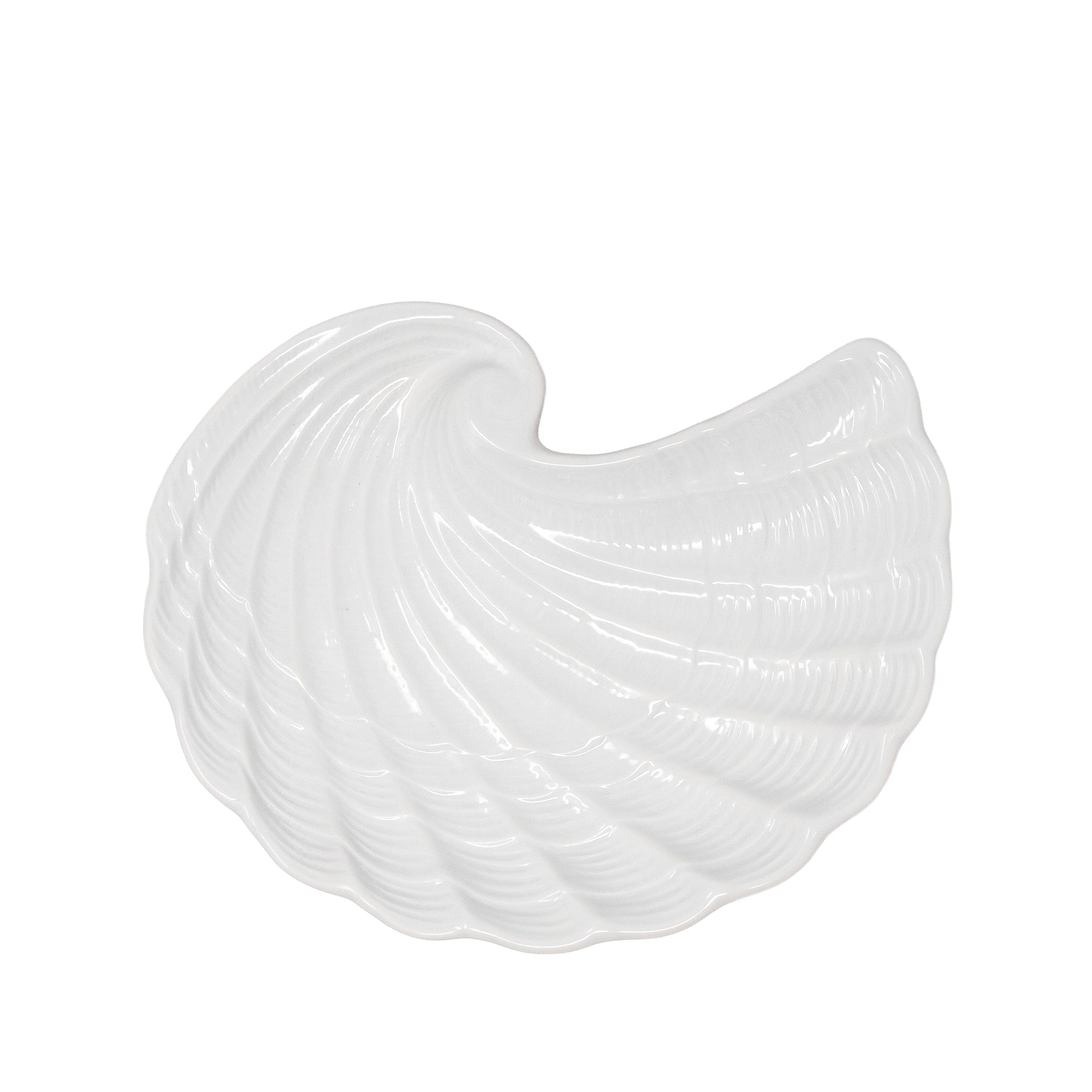 White shell-shaped plates on a white background