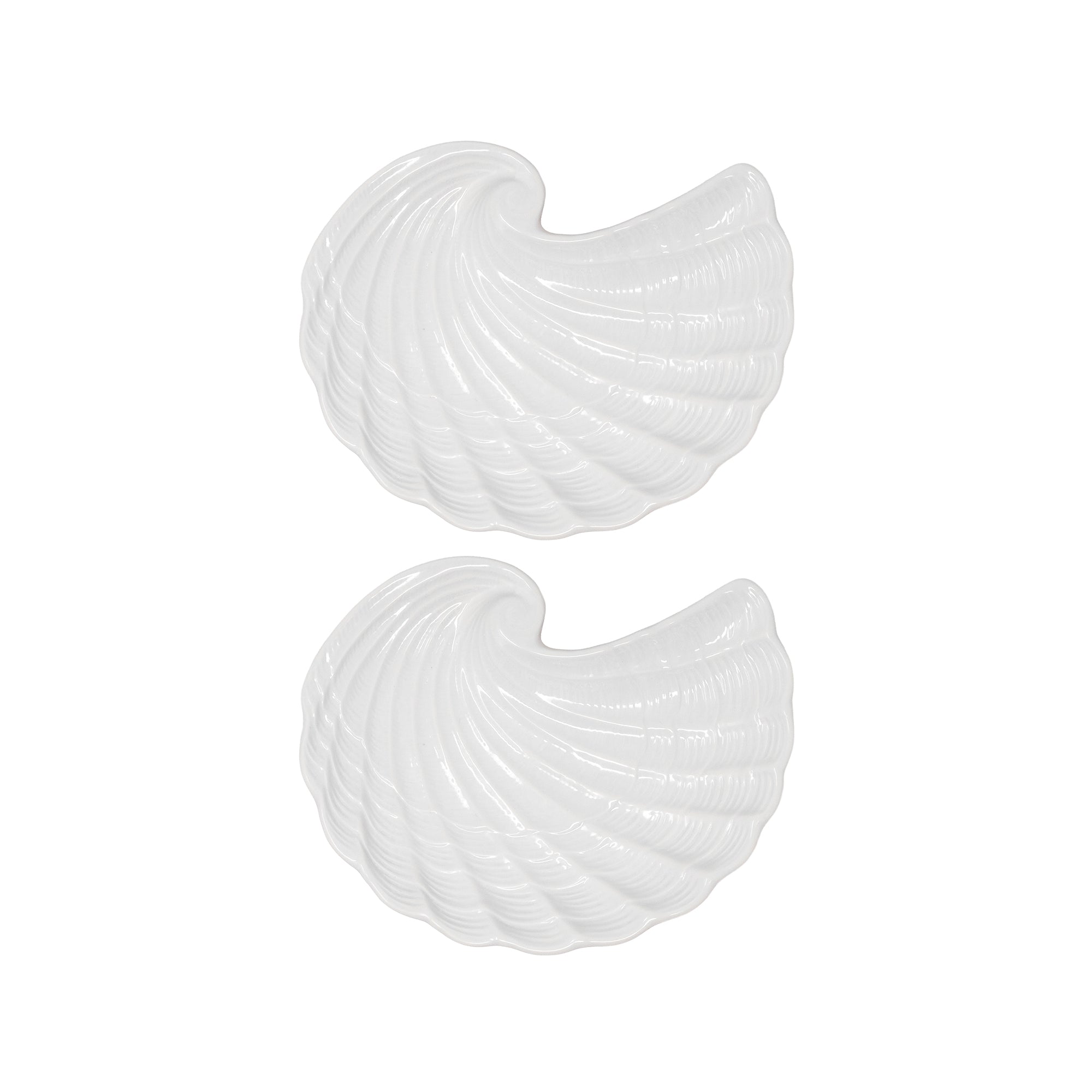 Two white shell-shaped plates on a white background