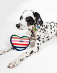 Chew Toy, Heart
