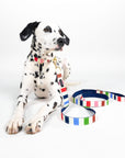 Large Dog Leash, Adventure Stripe