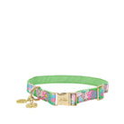 Dog collar with floral pattern and gold hardware on a white background