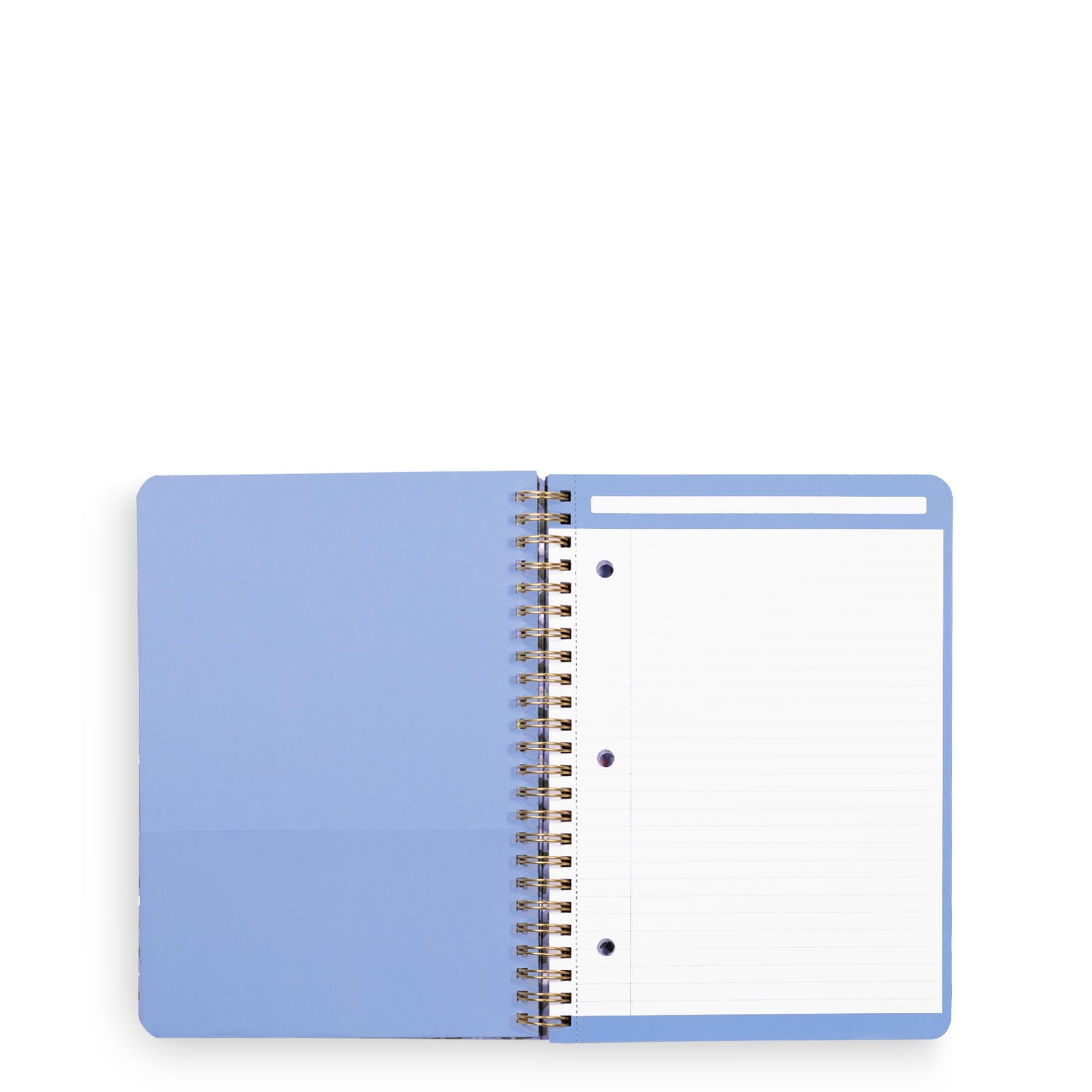Open notebook with light blue cover and white pages on a white background