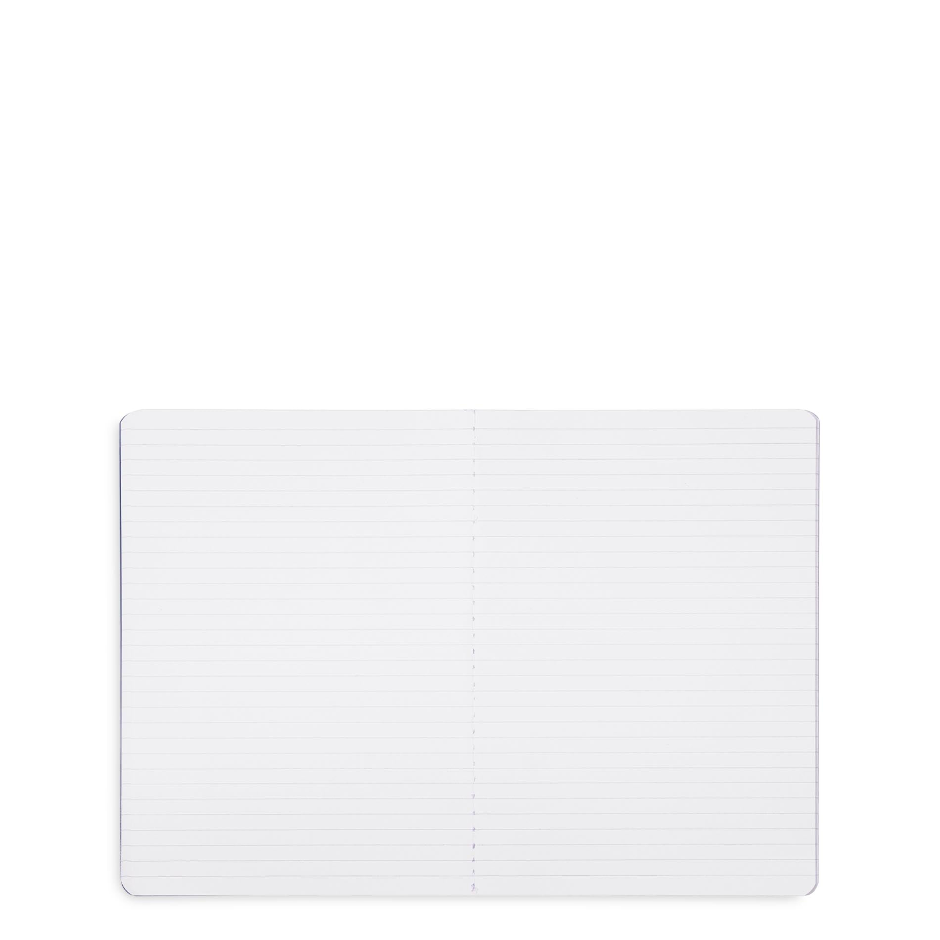Interior pages of notebooks