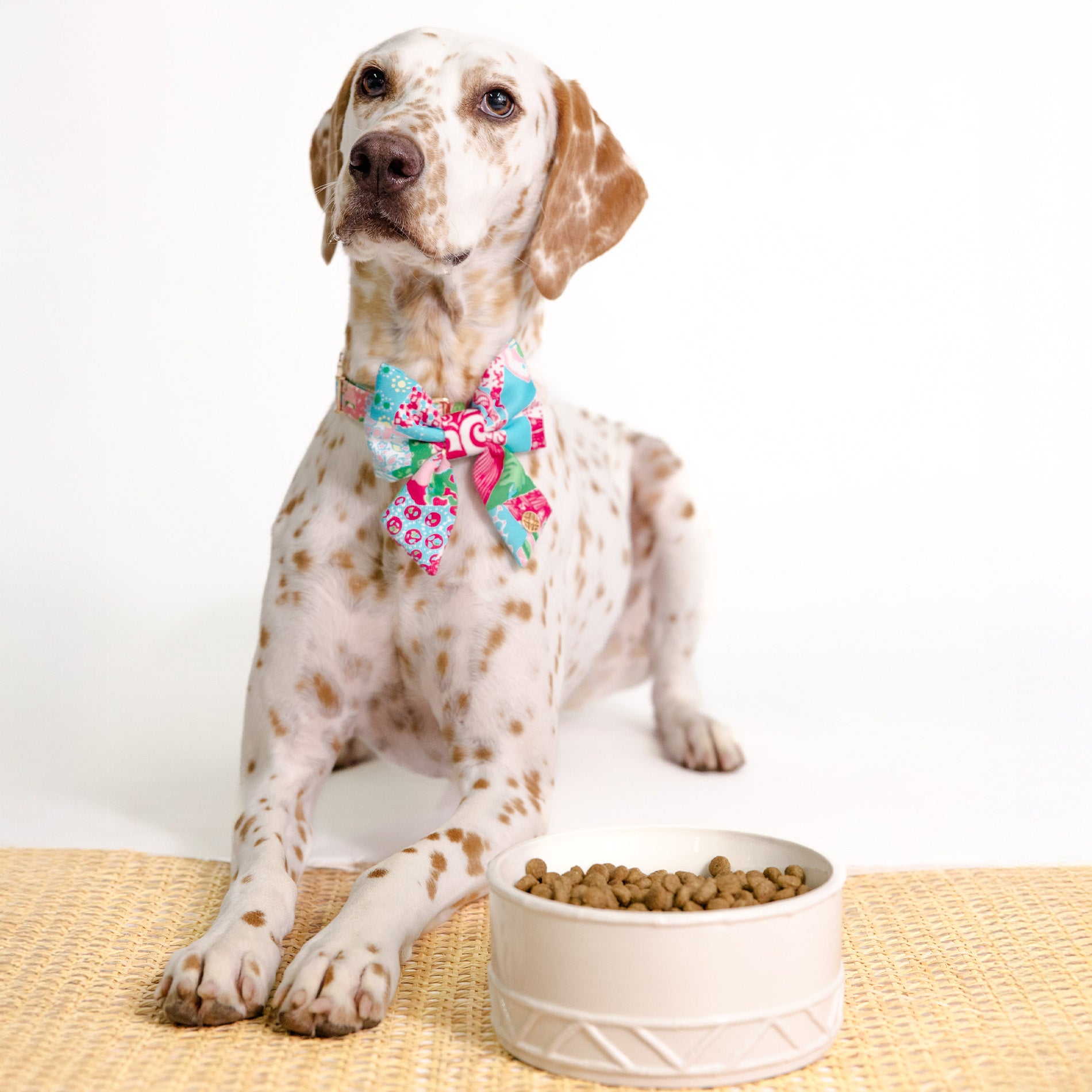 Dog wearing a colorful bow tie sitting next to a bowl of kibble on a white background