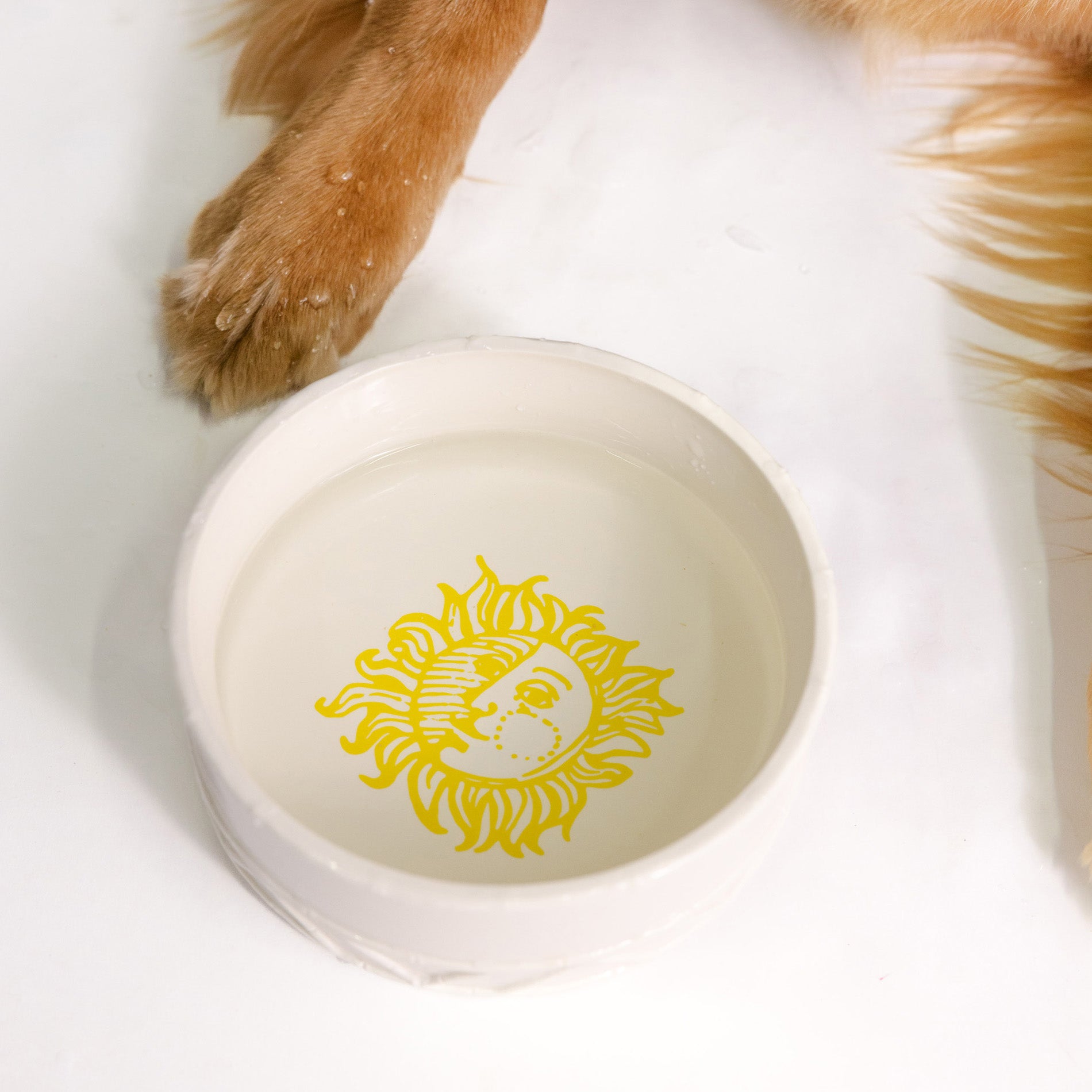 White ceramic bowl with yellow sun design on a white background, with a dog's paw partially visible.