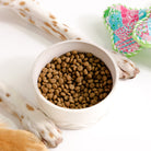 White bowl filled with dog food next to a dog's paw on a white background