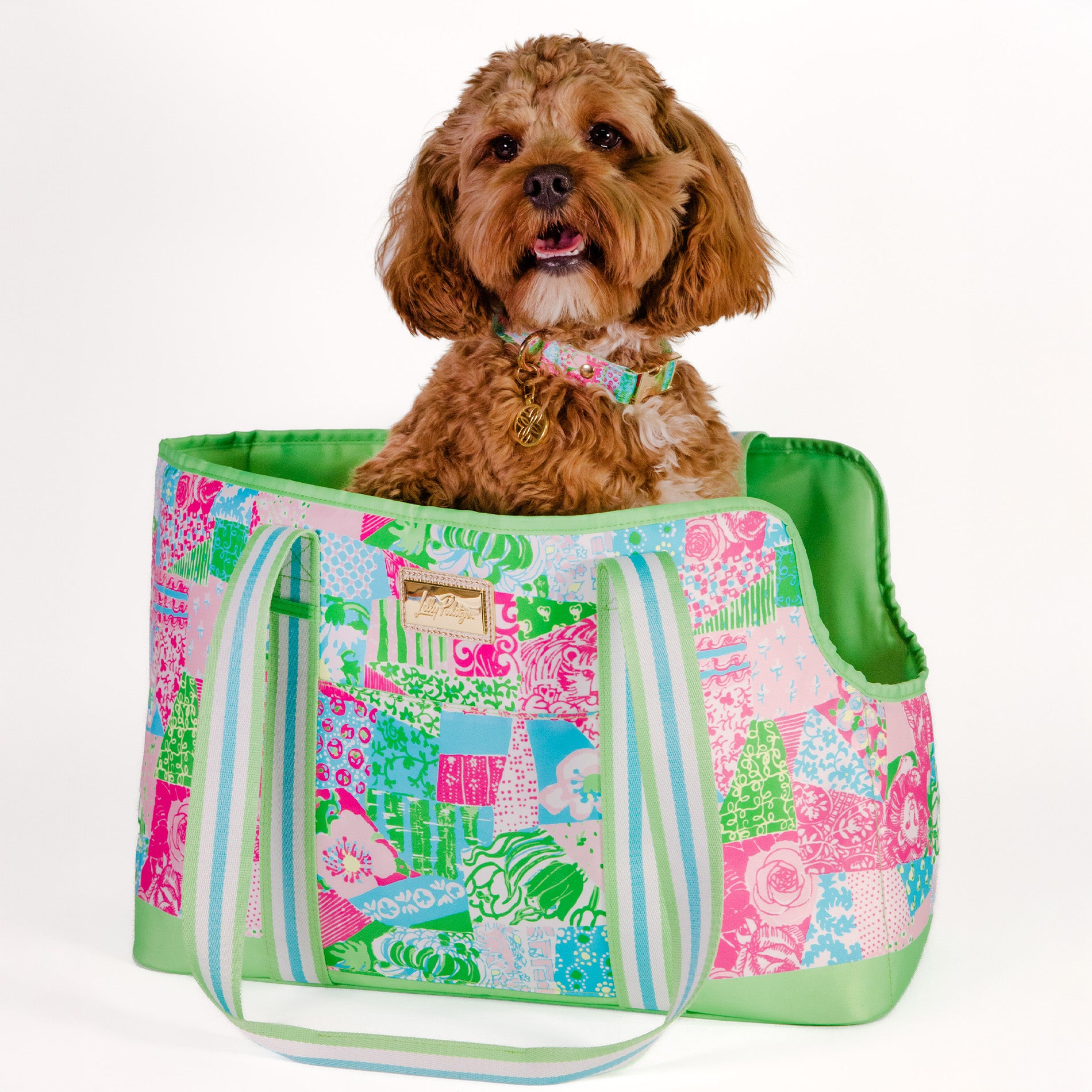 Dog sitting inside a colorful pet carrier with a patterned design.