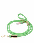 Green dog leash with gold hardware on a white background