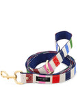 Large Dog Leash, Adventure Stripe