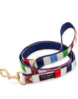 Small Dog Leash, Adventure Stripe