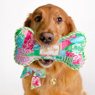 Dog holding a colorful toy with a visible brand label on a white background