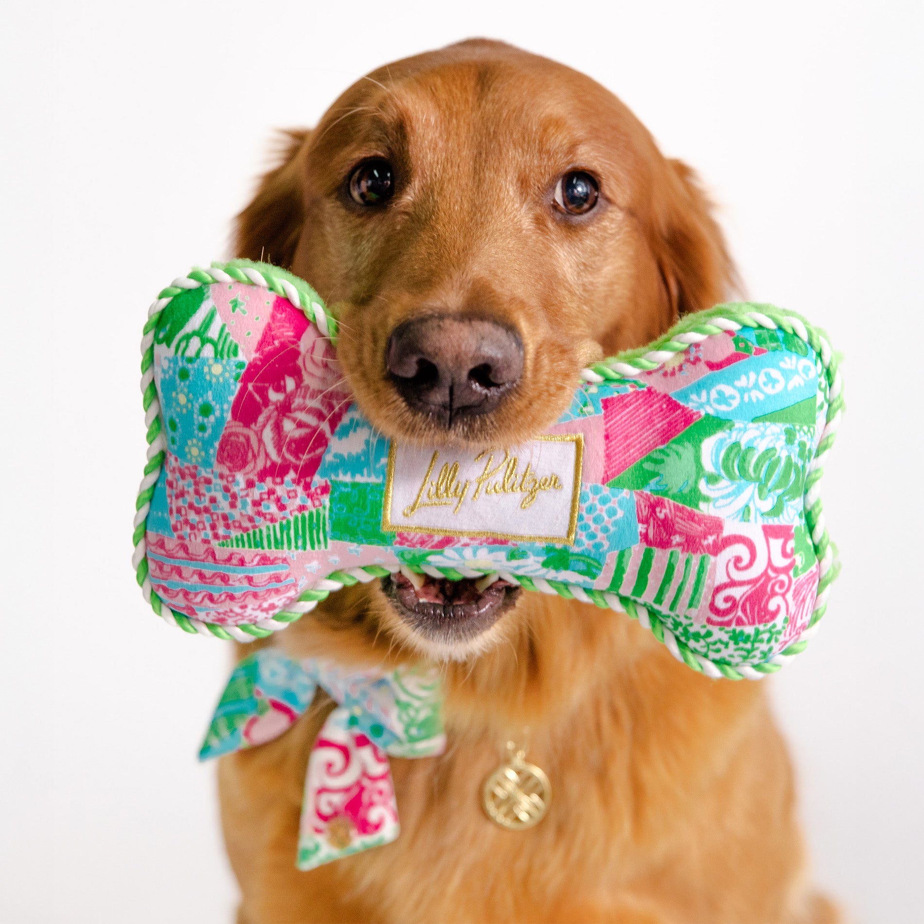Dog holding a colorful toy with a visible brand label on a white background
