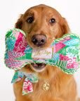 Dog holding a colorful toy with a visible brand label on a white background