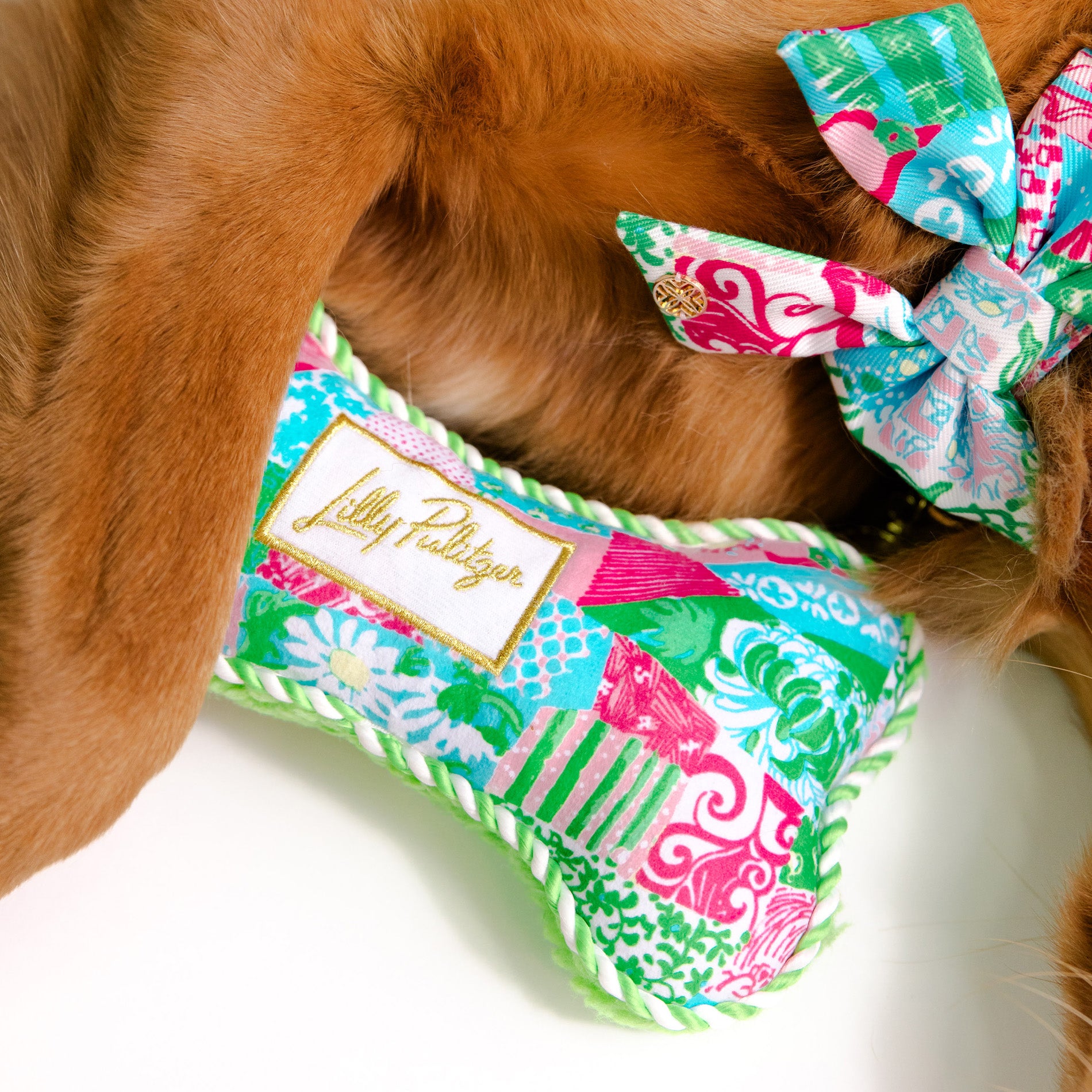 Dog wearing a colorful bandana with a visible brand label on a white background