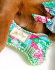 Dog wearing a colorful bandana with a visible brand label on a white background