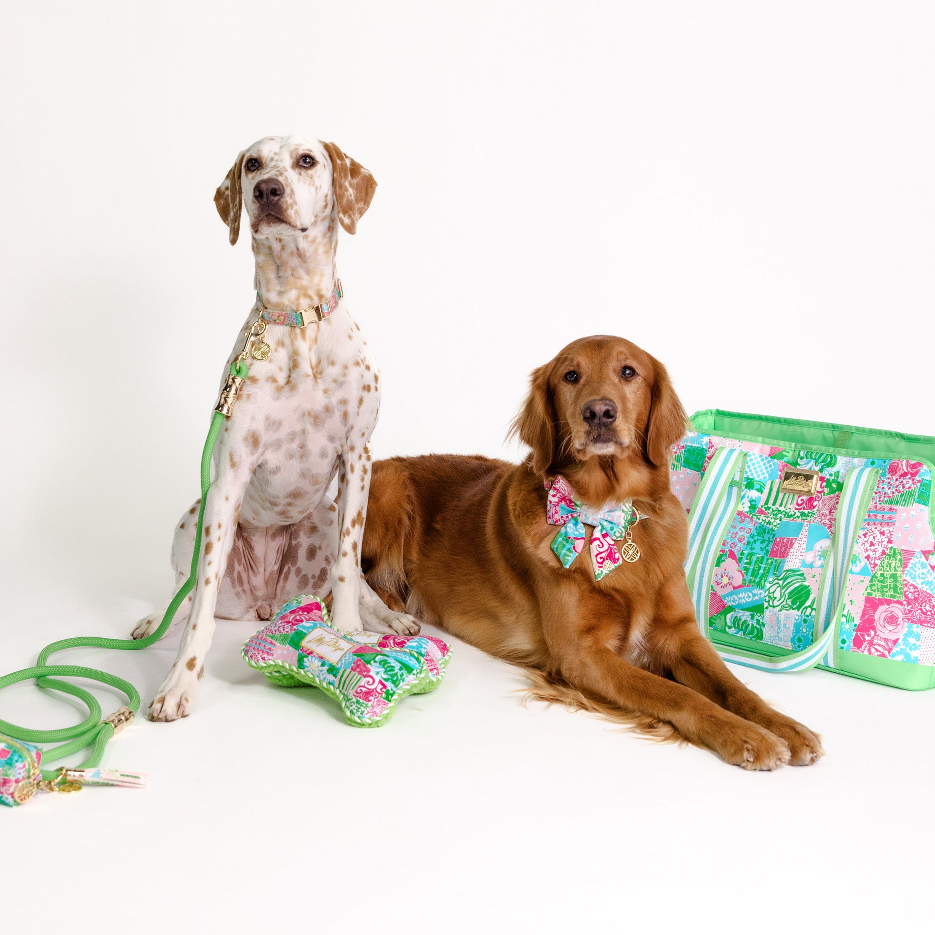 Two dogs with floral accessories and a matching bag on a white background