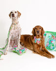 Two dogs with floral accessories and a matching bag on a white background