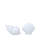 Two white ceramic shell-shaped objects on a white background