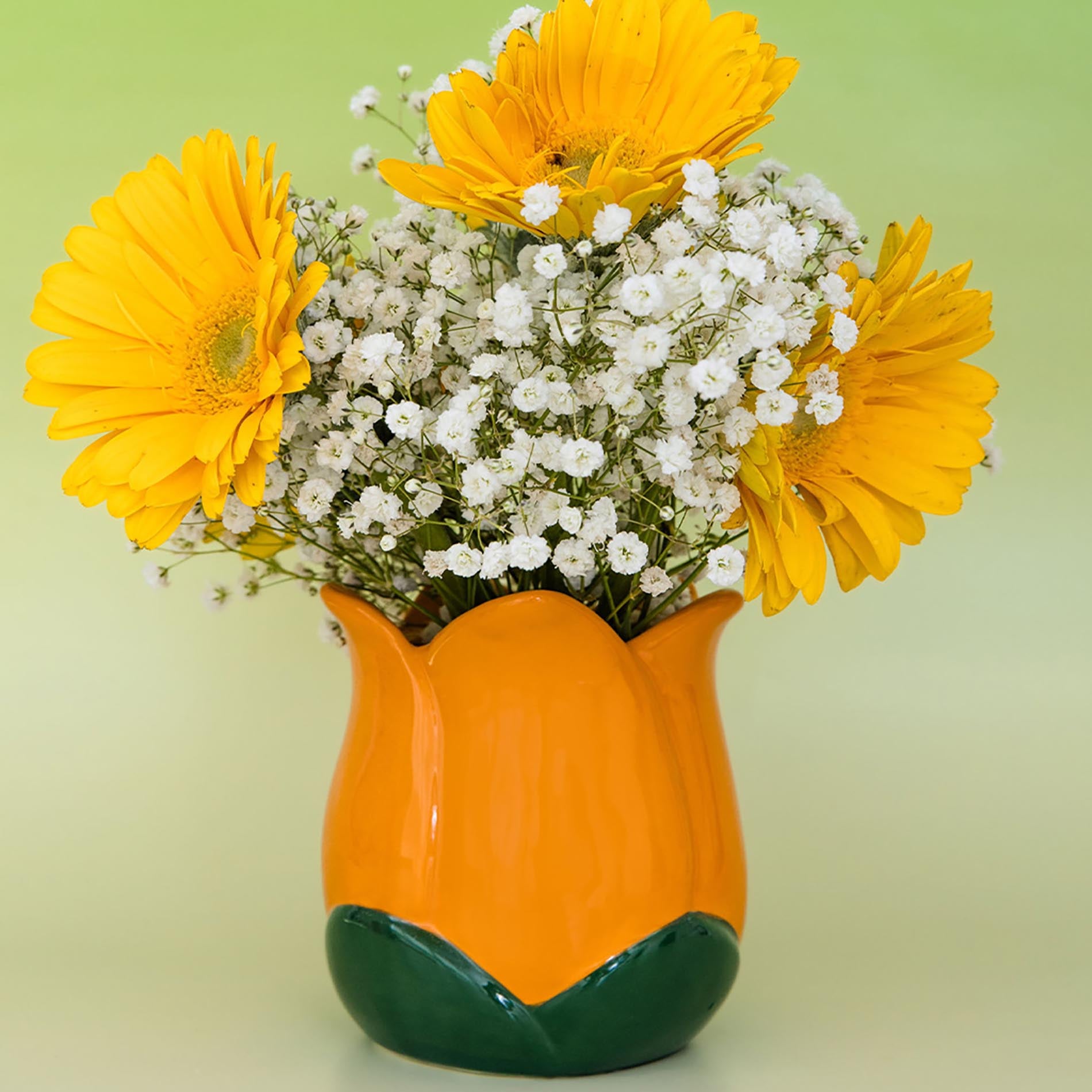 Vase with yellow flowers and white baby's breath on a green background