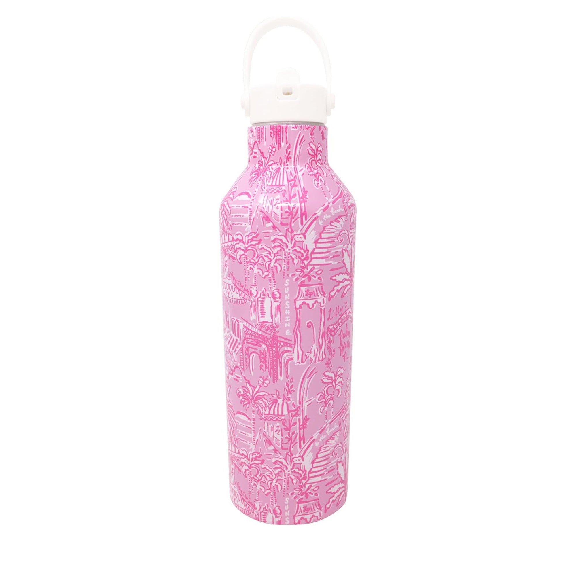 Stainless Steel Water Bottle, Palm Beach Playground
