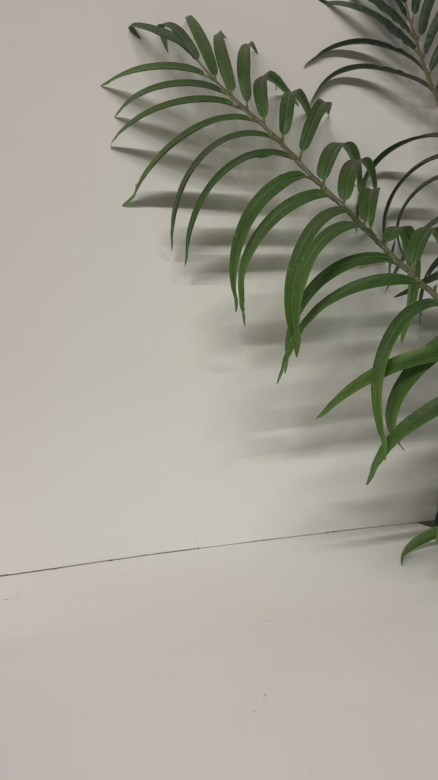 model showcasing sun title skinny can holder