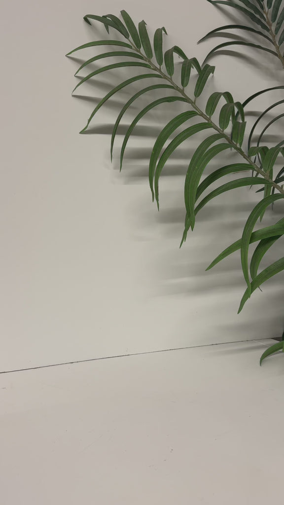 model showcasing sun title skinny can holder